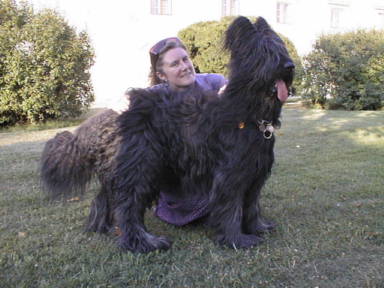 Sndor & Lydia